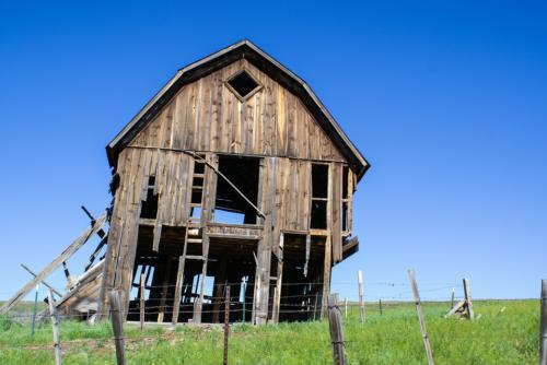 Century Barns